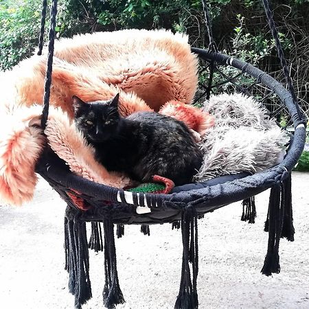 El Matorral Panzió Alghero Kültér fotó