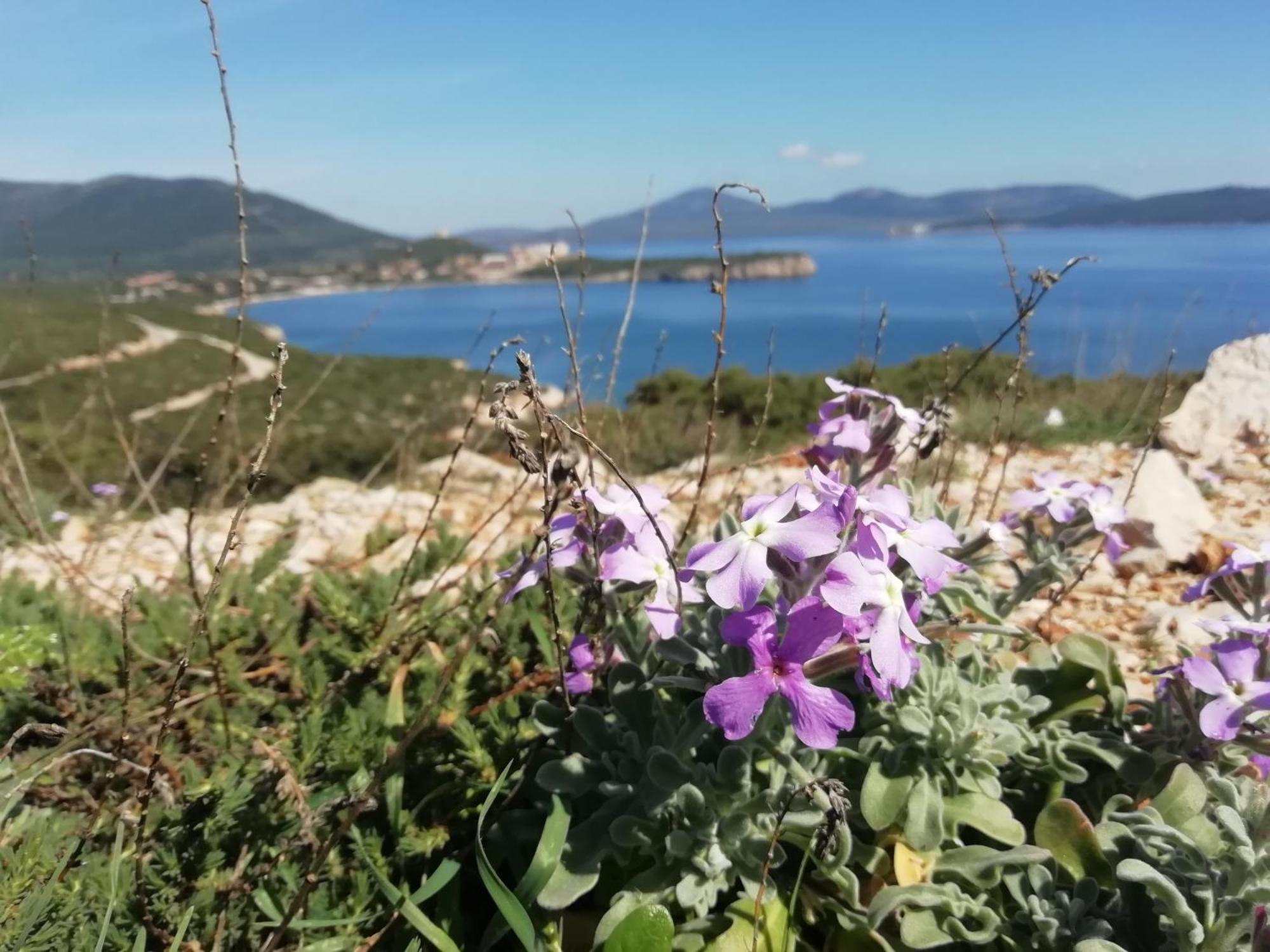 El Matorral Panzió Alghero Kültér fotó