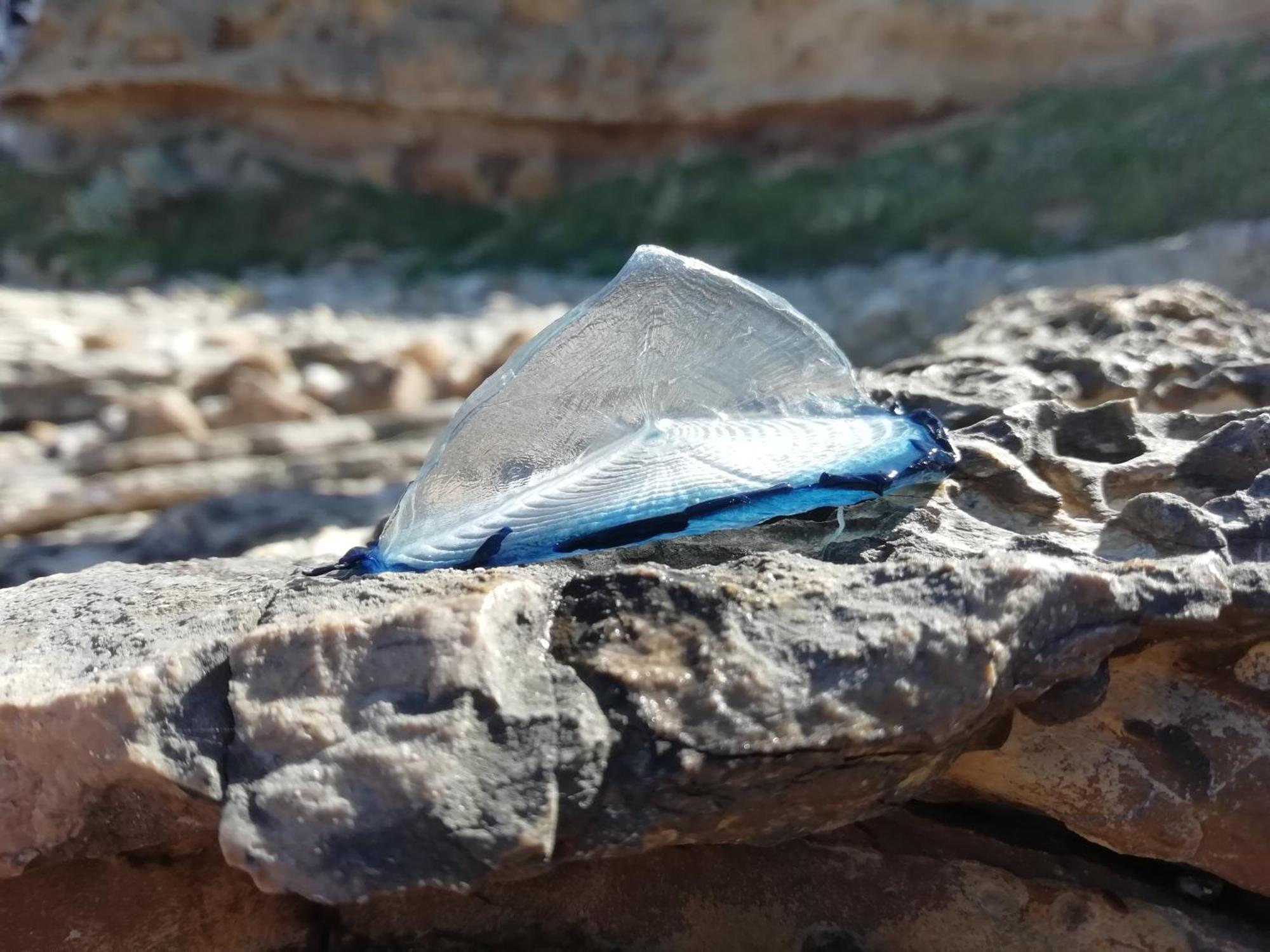 El Matorral Panzió Alghero Kültér fotó